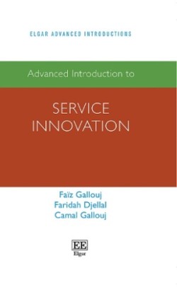 Advanced Introduction to Service Innovation