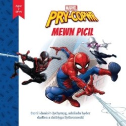 Disney Marvel Agor y Drws: Pry-Copwr Mewn Picil