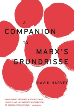 Companion to Marx's Grundrisse