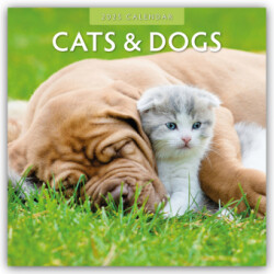 Cats & Dogs 2025 Square Wall Calendar