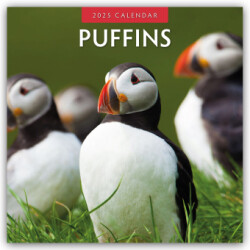 Puffins 2025 Square Wall Calendar