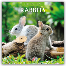 Rabbits 2025 Square Wall Calendar