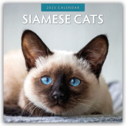 Siamese Cats 2025 Square Wall Calendar