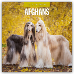 Afghans 2025 Square Wall Calendar