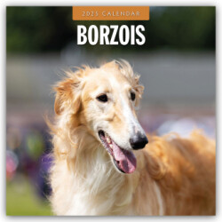 Borzois 2025 Square Wall Calendar