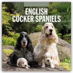 English Cocker Spaniels 2025 Square Wall Calendar