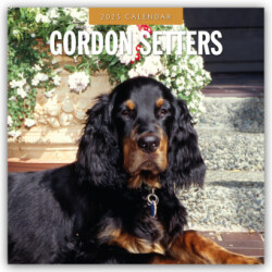 Gordon Setters 2025 Square Wall Calendars