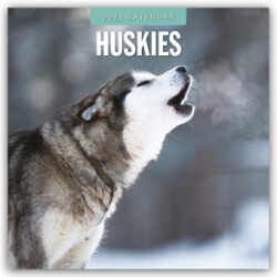 Huskies 2025 Square Wall Calendar