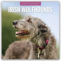 Irish Wolfhounds 2025 Square Wall Calendar