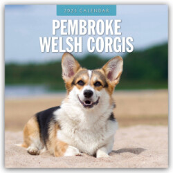 Pembroke Welsh Corgis 2025 Square Wall Calendar