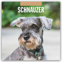 Schnauzer 2025 Square Wall Calendar