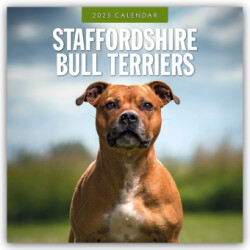 Staffordshire Bull Terriers 2025 Square Wall Calendar