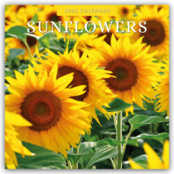 Sunflowers 2025 Square Wall Calendar