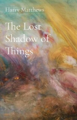 Lost Shadow of Things