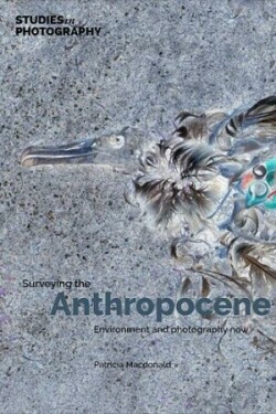 Surveying the Anthropocene: