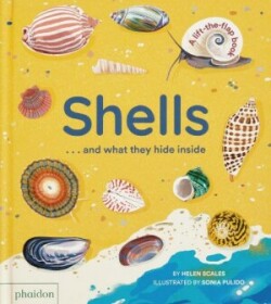 Shellsàand What they hide Inside