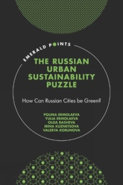 Russian Urban Sustainability Puzzle