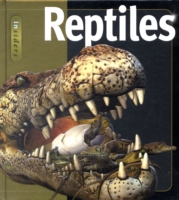 Reptiles