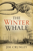 Winter Whale