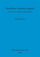 Mesolithic Northern England