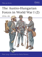Austro-Hungarian Forces in World War I (2)
