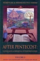 After Pentecost (Scripture & Hermeneutics Series)