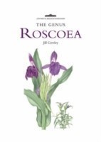 Genus Roscoea, The