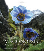 Genus Meconopsis