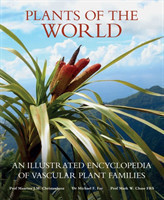 Plants of the World : An Illustrated Encyclopedia of Vascular Plant Families