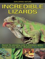 Exploring Nature: Incredible Lizards