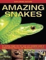 Exploring Nature: Amazing Snakes