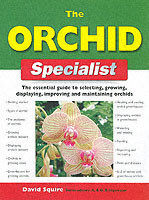 Orchid Specialist