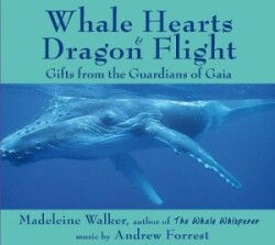 Whale Hearts and Dragon Flight