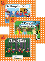 Jolly Phonics Readers, Set 5, Orange Level (pack of 3)