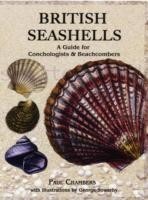 British Seashells: a Guide for Conchologists and Beachcombers