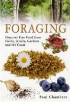 Foraging