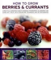 How to Grow Berries and Currants