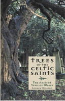 Trees of the Celtic Saints  The Ancient Yews of Wales