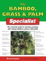 Bamboo Grass & Palm Specialist