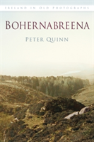 Bohernabreena