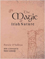 Magic of Irish Nature