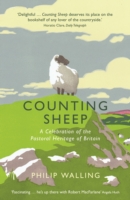 Counting Sheep