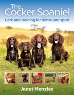 Cocker Spaniel