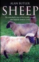 Sheep – The remarkable story of the humble animal that built the modern world.