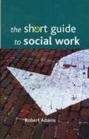 Short Guide to Social Work