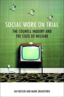 Social Work on Trial