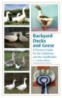Backyard Ducks and Geese