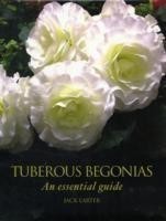 Tuberous Begonias