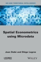 Spatial Econometrics using Microdata