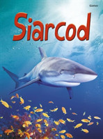 Cyfres Dechrau Da: Siarcod